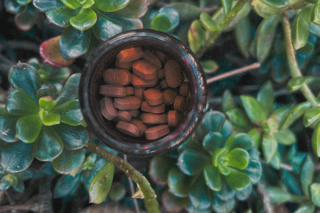 Root Renewal Supplements tablets among the greens
