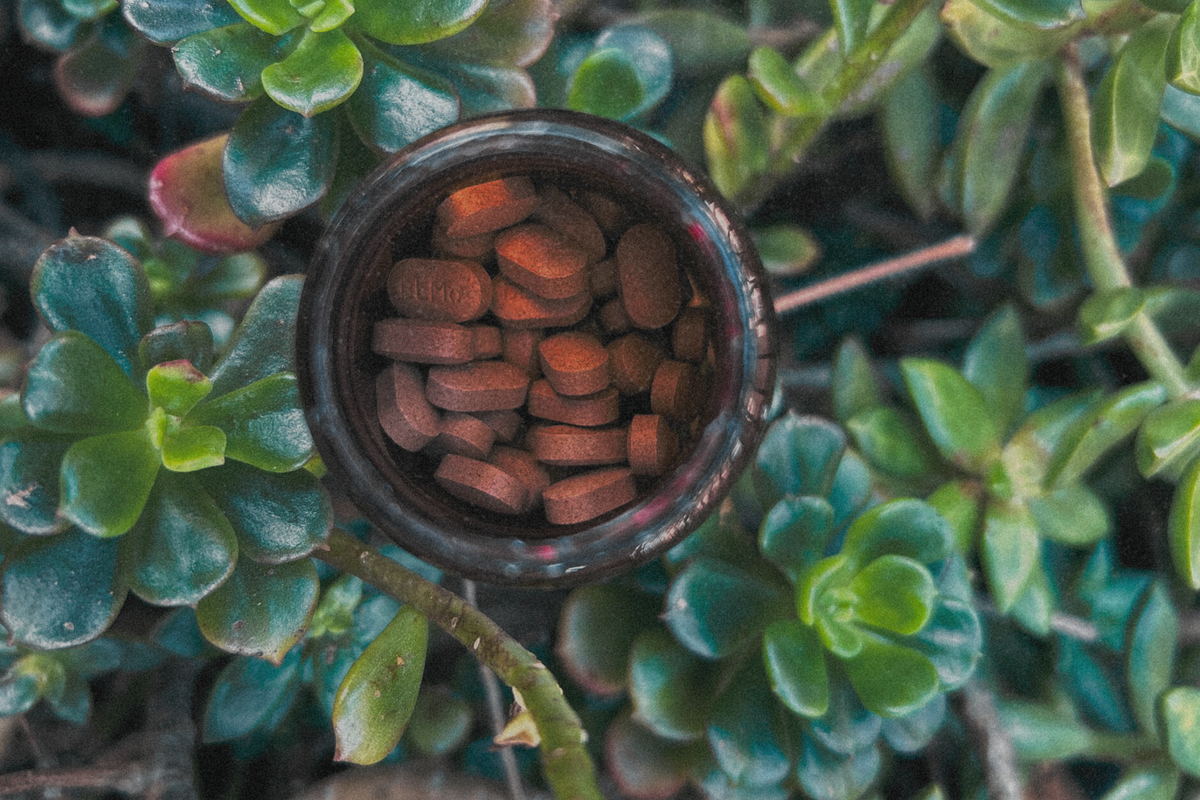 Root Renewal Supplements tablets among the greens